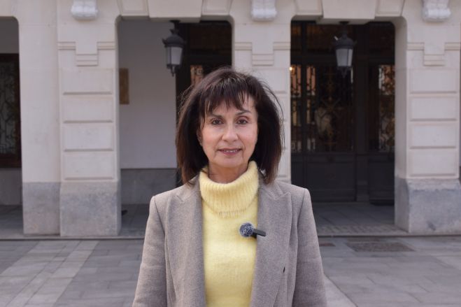 El PSOE critica que los recortes de Guarinos en mantenimiento de calles tengan la ciudad llena de agujeros y exige que se actúe cuanto antes