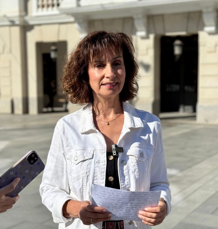 El PSOE acusa a Guarinos de ser “temeraria e irresponsable” al sacar, ahora, a licitación, el contrato de la grúa en pleno proceso judicial